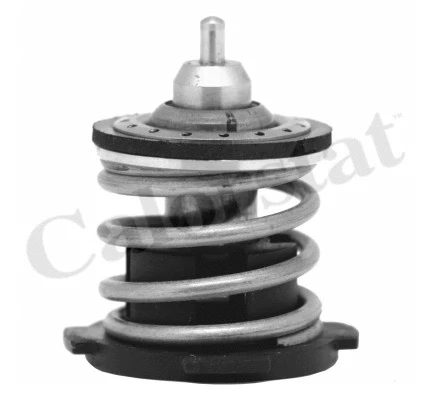 Thermostat, coolant (TH7274.87)