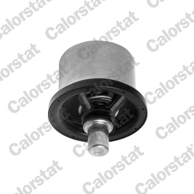 Thermostat, coolant (THS16957.82)