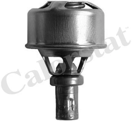 Thermostat, coolant (TH4495.89)