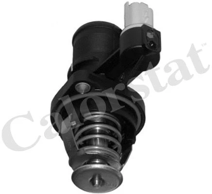 Thermostat, coolant (TE6973.105J)