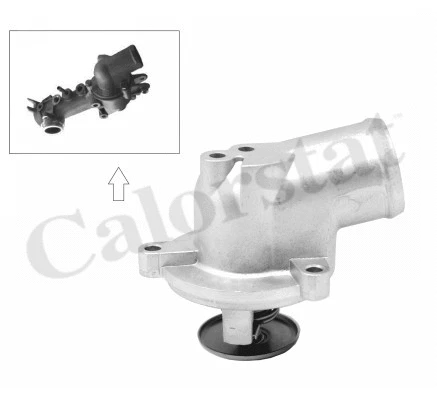 Thermostat, coolant (TH6954.87J)