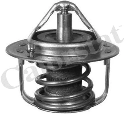 Thermostat, coolant (TH6737.82J)