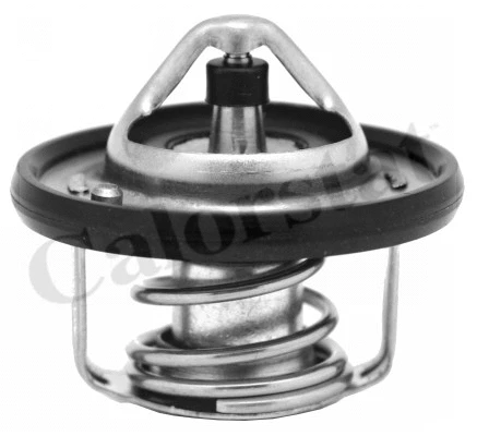 Thermostat, coolant (TH6949.82J)