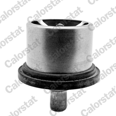 Thermostat, coolant (THS19094.80)