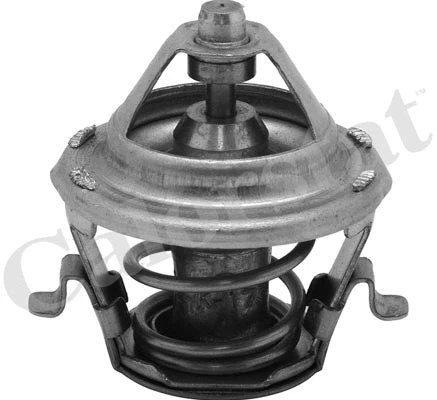 Thermostat, coolant (TH6231.88J)