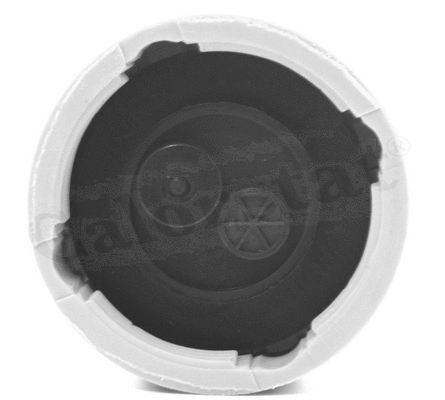 Expansion Tank, coolant