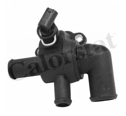 Thermostat, coolant (TH6969.90J)