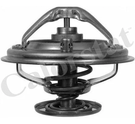 Thermostat, coolant (TH6497.85J)