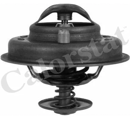 Thermostat, coolant (TH4780.78J)
