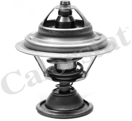 Thermostat, coolant (TH7008.82)