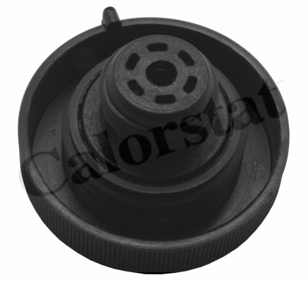 Cap, coolant tank