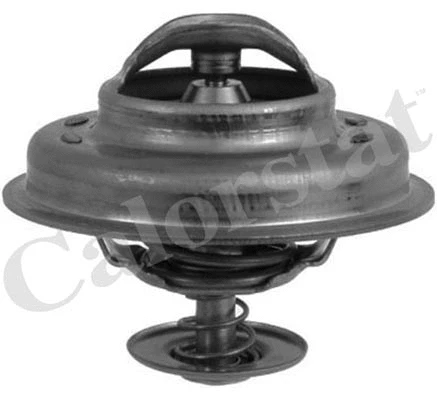 Thermostat, coolant (TH5231.83J)
