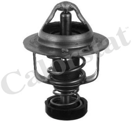 Thermostat, coolant (TH6828.82)