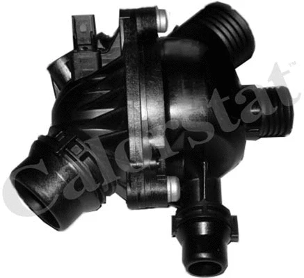 Thermostat, coolant (TE6984.97J)