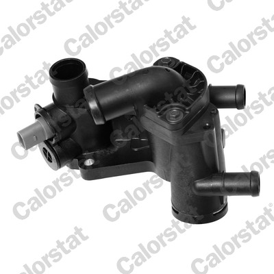 Thermostat, coolant (THK627424.87J)