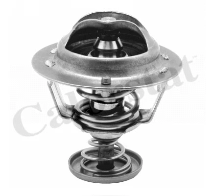 Thermostat, coolant (TH6295.82J)