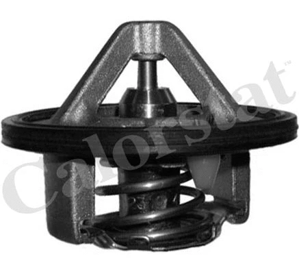 Thermostat, coolant (TH6985.82J)