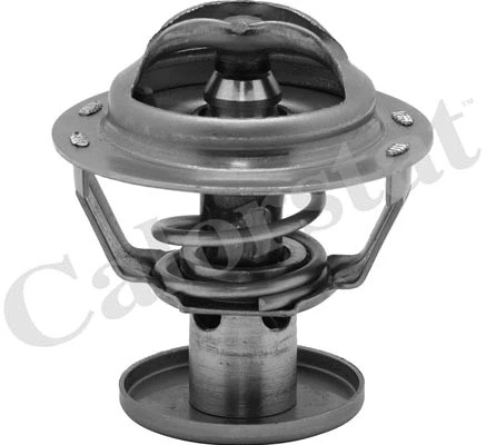 Thermostat, coolant (TH6578.87J)