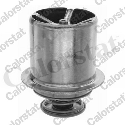Thermostat, coolant (THS02484.82)