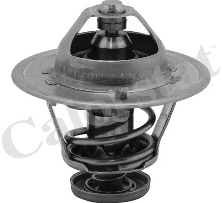 Thermostat, coolant (TH6252.82J)