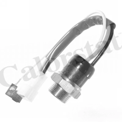 Temperature Switch, radiator fan (TS1900)