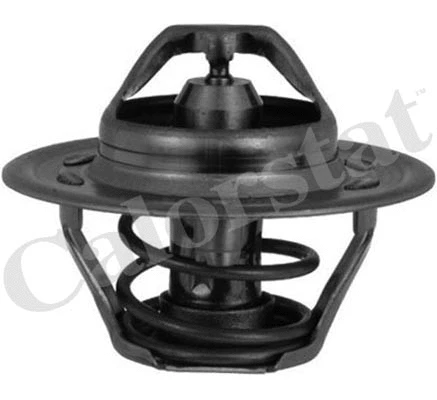 Thermostat, coolant (TH6244.92J)