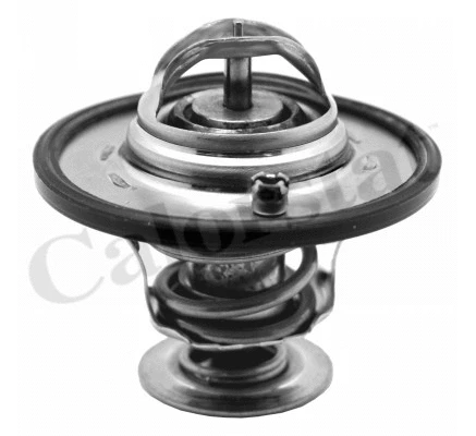 Thermostat, coolant (TH7341.82J)
