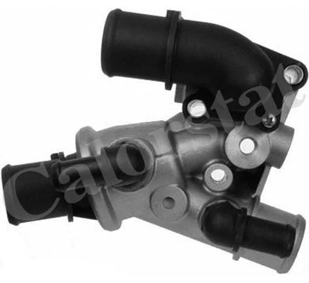 Thermostat, coolant (TH6539.80J)