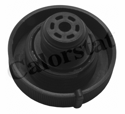 Cap, coolant tank