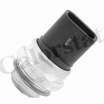 Temperature Switch, radiator fan (TS1899)