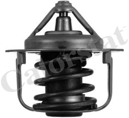 Thermostat, coolant (TH5076.88J)