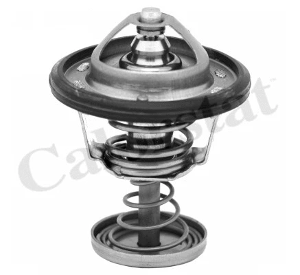 Thermostat, coolant (TH6950.82J)