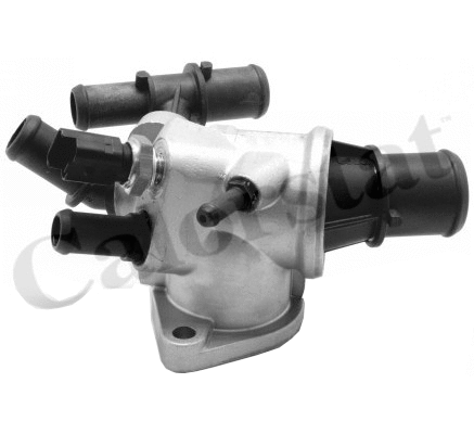 Thermostat, coolant (TH7176.88J)
