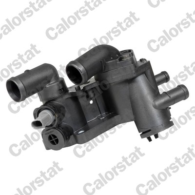 Thermostat, coolant (THK596202.83J)