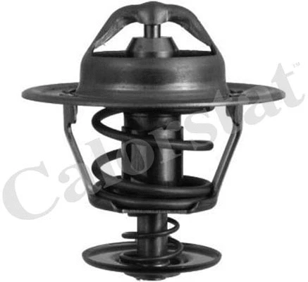 Thermostat, coolant (TH6007.88J)