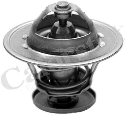 Thermostat, coolant (TH6999.80)