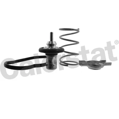 Thermostat, coolant (THK7276.83J)