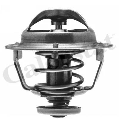 Thermostat, coolant (TH7367.82J)