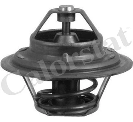 Thermostat, coolant (TH1473.88J)