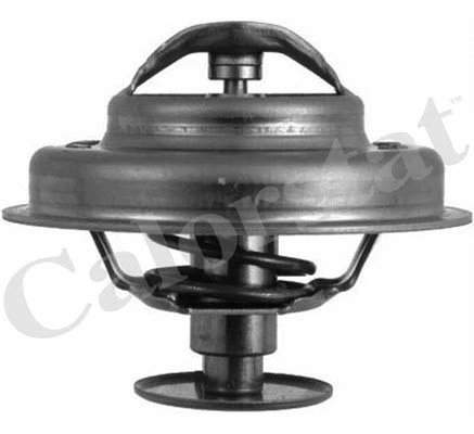 Thermostat, coolant (TH4947.81J)