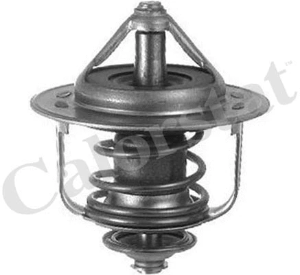 Thermostat, coolant (TH6858.89J)