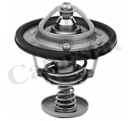 Thermostat, coolant (TH6870.82J)