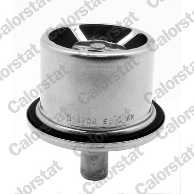 Thermostat, coolant (THS19100.85)