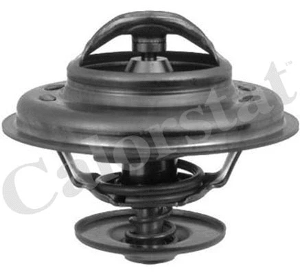 Thermostat, coolant (TH5963.80J)