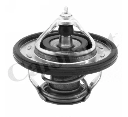 Thermostat, coolant (TH7239.90J)