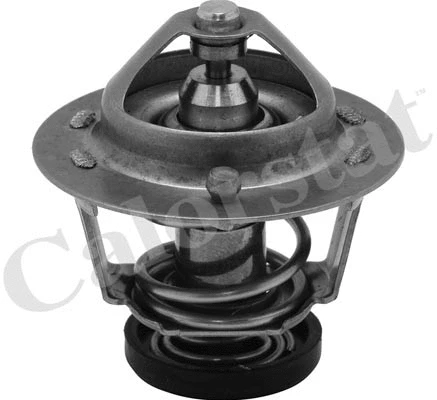 Thermostat, coolant (TH6599.78J)