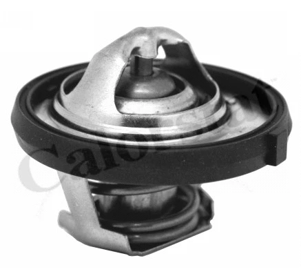 Thermostat, coolant (TH7311.95J)