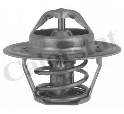 Thermostat, coolant (TH5504.88J)