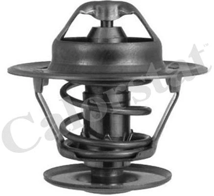 Thermostat, coolant (TH1335.87J)