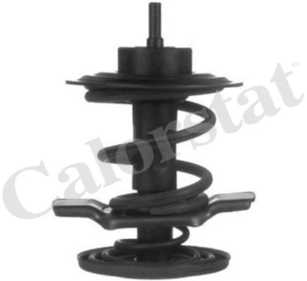 Thermostat, coolant (TH6862.83J)
